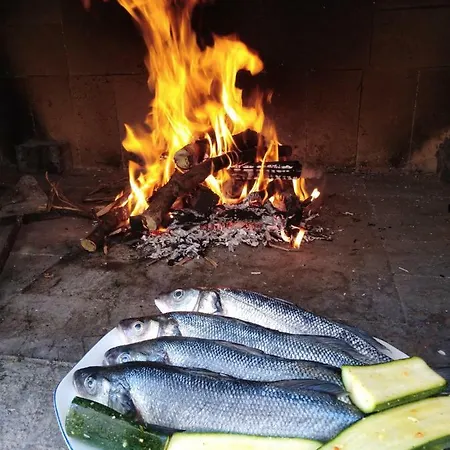 Gracia & Toni * تروغير